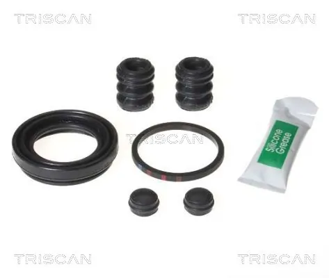 8170204013 Triscan
