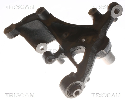 850029724 Triscan