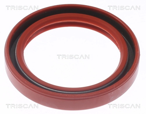 855010071 Triscan