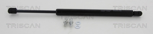 Muelle neumatico maletero para Chrysler 300  ()