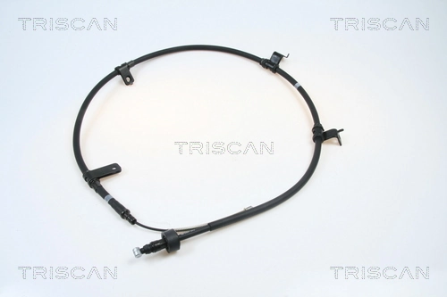 814043119 Triscan