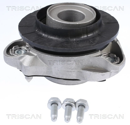 850010950 Triscan