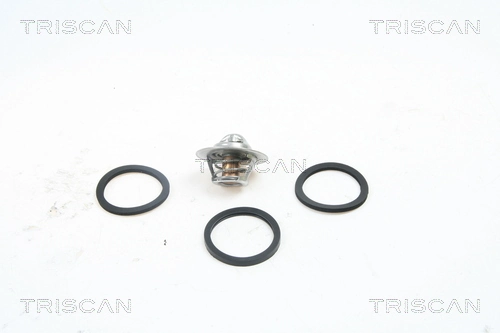 86205482 Triscan
