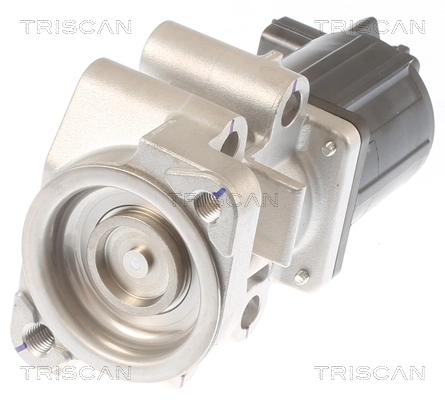 Comprar Válvula EGR Mitsubishi Pajero IV SHORT V80