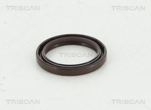855010039 Triscan