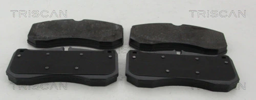 811029179 Triscan