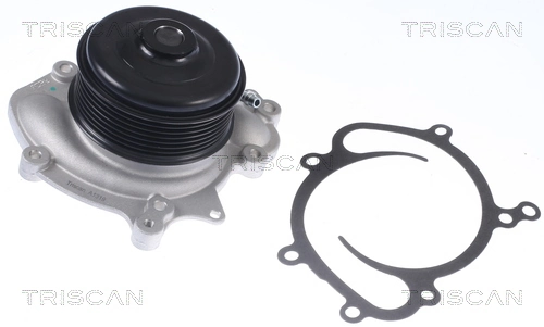 860023081 Triscan