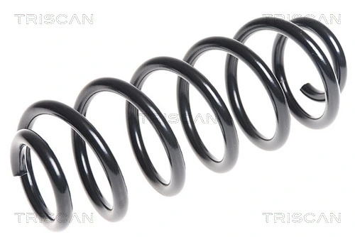 875029285 Triscan