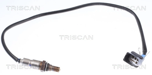 884529008 Triscan