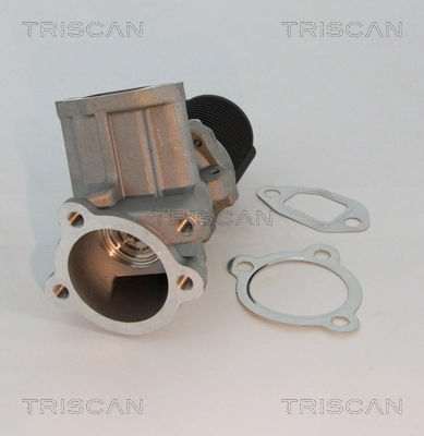 EGR Peugeot/Citroen 93196799