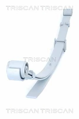 876529021 Triscan