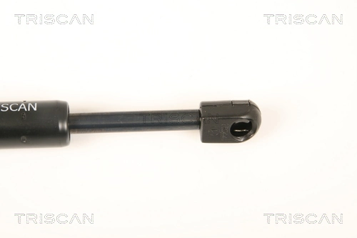 Comprar Amortiguador de capó Peugeot 406  8C