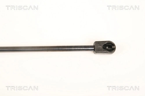 Muelle neumático, tapa delantera Volkswagen Passat CC B6 sedán (357) (2008 - 2012) precio, desde 16,35 EUR