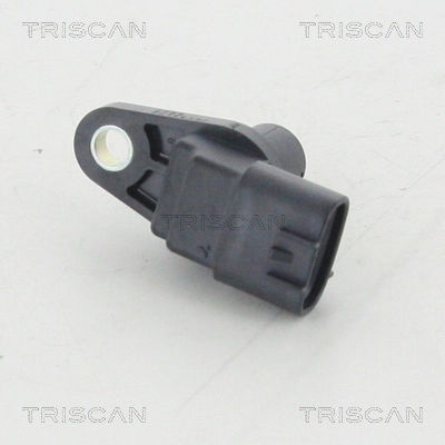 886568105 Triscan