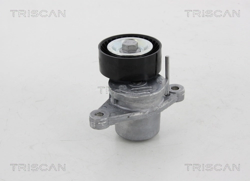 8641281028 Triscan