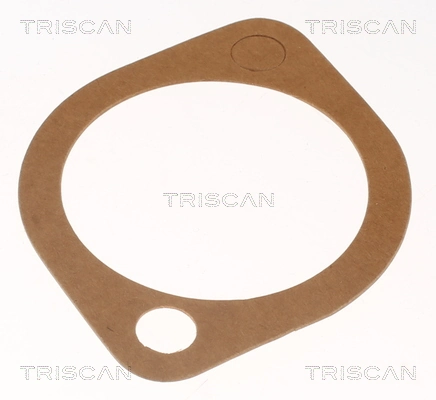 Comprar 86205791 Triscan Termostato