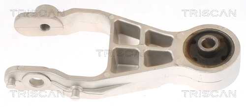 Soporte de motor trasero 684717 General Motors