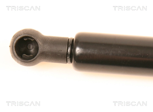 Comprar Amortiguador maletero Audi A4 Avant B6 8E5