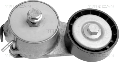 Comprar Tensor de correa poli V Fiat 500  312