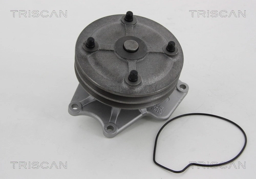 860042018 Triscan