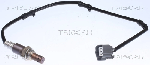 884540051 Triscan