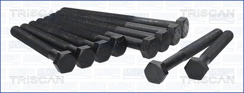 985007 Triscan