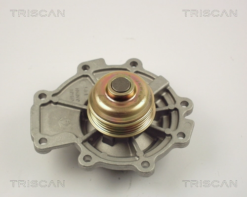 860016011 Triscan
