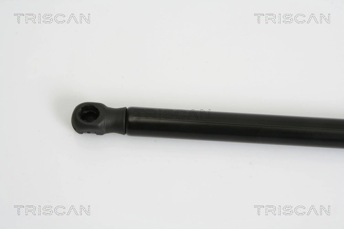 904526114R Renault (RVI) Amortiguador de porton