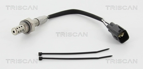 884513527 Triscan