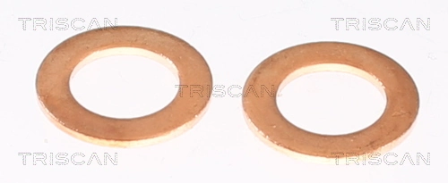 Tubo flexible de frenos delantero MAN 65512010006