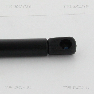 Muelle neumatico maletero Montcada RTO031