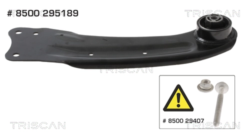 8500295189 Triscan