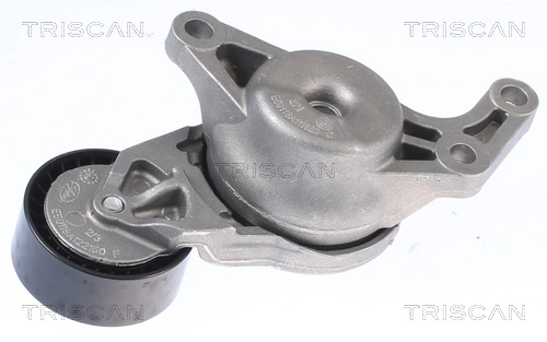Polea tensora correa poli V 9809611580 Peugeot/Citroen