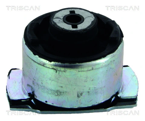 Silentblock del puente trasero para Renault Laguna II BG0, BG1