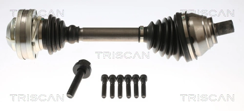 8540297011 Triscan