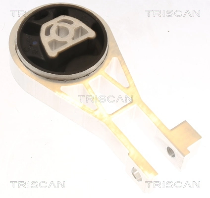850510134 Triscan