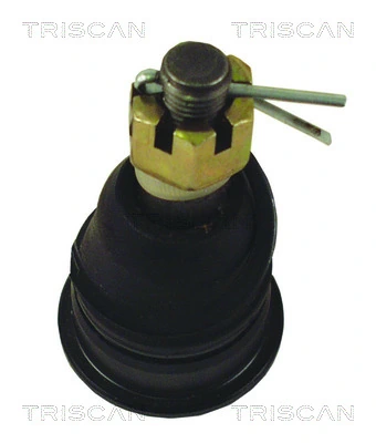 Rótula inferior de suspensión Nissan Sunny II sedán (N13) (1986 - 1991) precio, desde 10,13 EUR