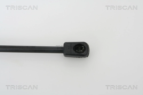 Comprar Amortiguador maletero Chevrolet Aveo II T250, T255
