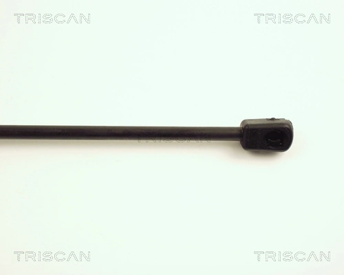 Amortiguador de porton para Renault 19 I B53, C53