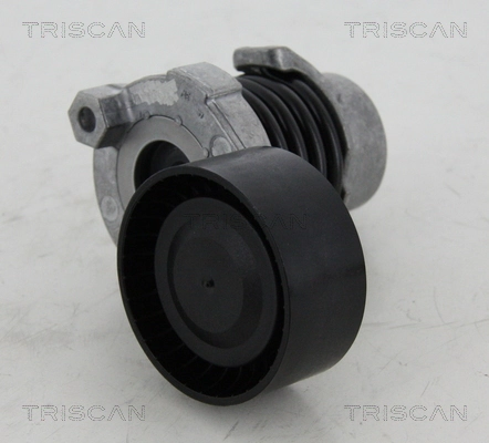 Tensor de la correa trapecial Renault DUSTER I SUV (HS) (2010 - 2026) precio, desde 43,56 EUR