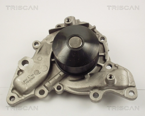 860010010 Triscan