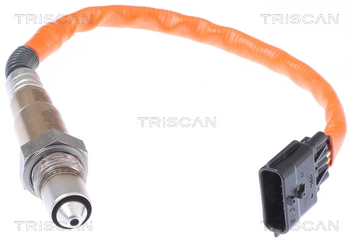 884525054 Triscan