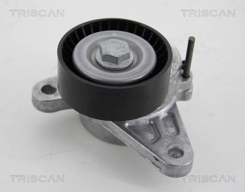  Tensor de correa poli V Audi A3 