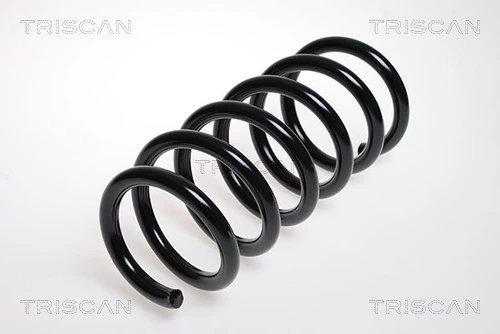 Muelle delantero para Nissan Primastar X83