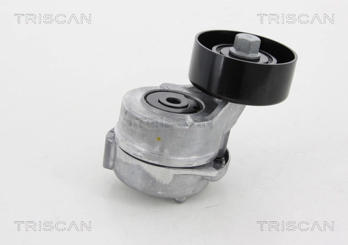 Tensor de la correa trapecial LUK 534034110 precio, desde 42,43 EUR