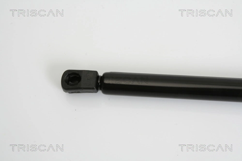 Comprar Amortiguador maletero Citroen C4 PICASSO I UD