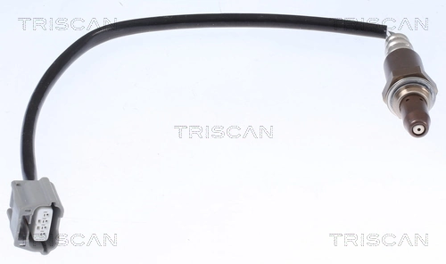 884514537 Triscan