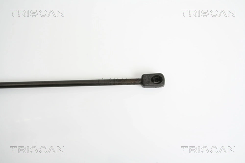Comprar Amortiguador maletero Mercedes B  W245