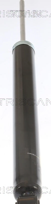 870516202 Triscan Amortiguadores posteriores