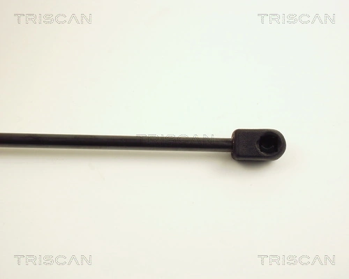 Amortiguador de maletero Triscan 871025202 precio, desde 9,66 EUR
